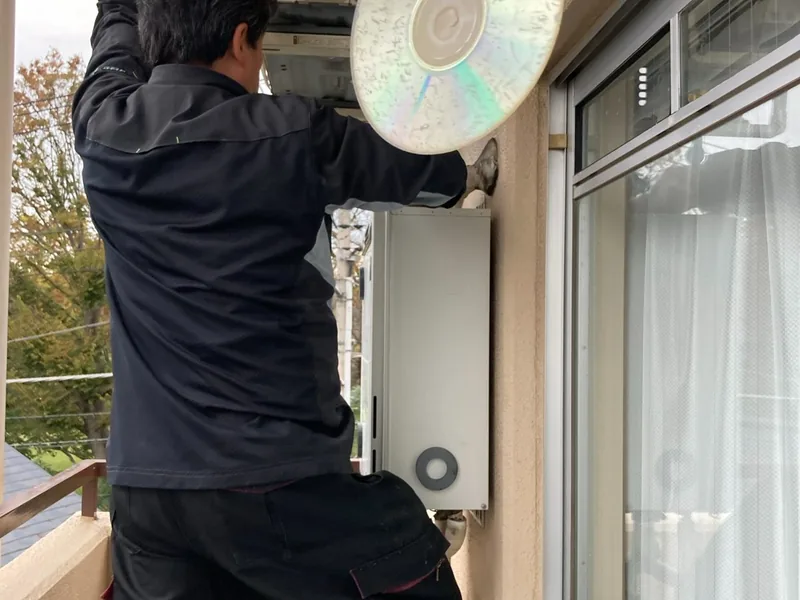 ハト駆除の様子2